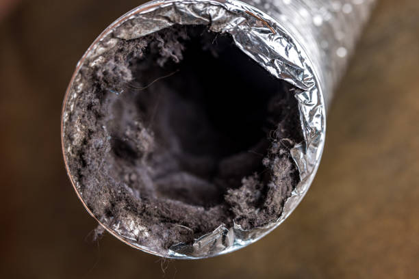 Best Ventilation Cleaning Services  in Goodyear, AZ